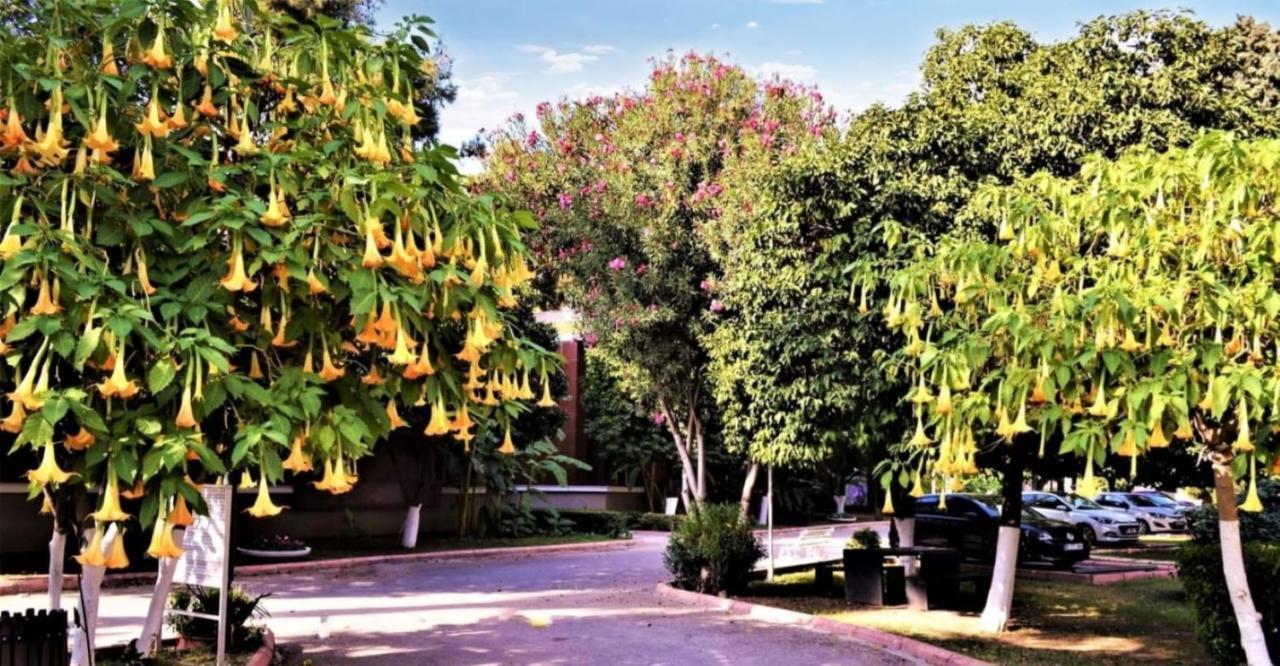 אדאנה Cetinel Otel מראה חיצוני תמונה