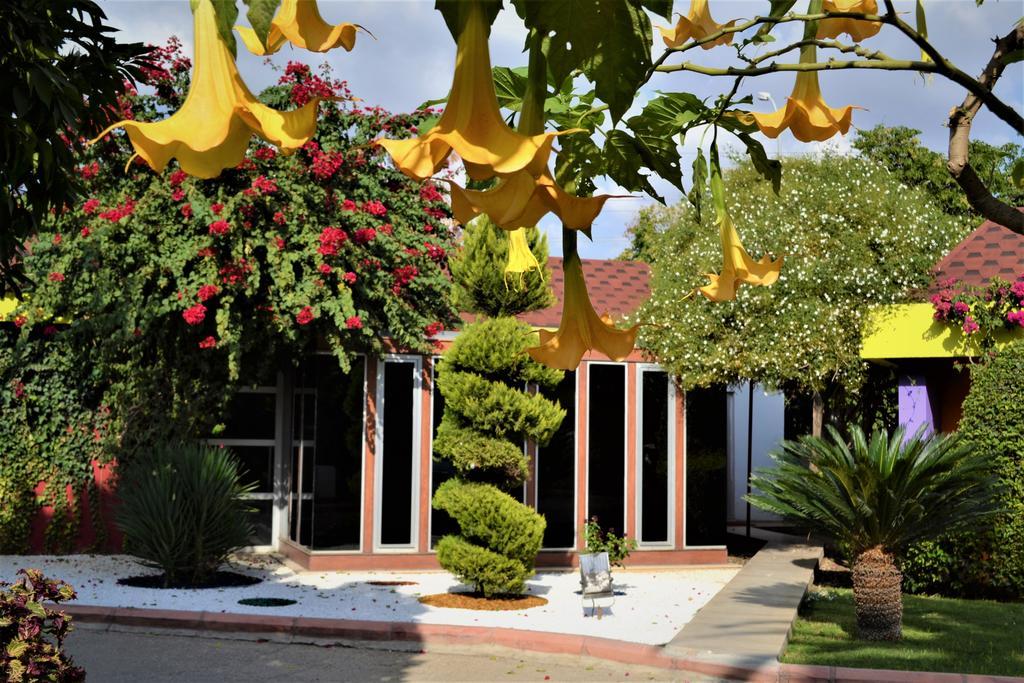 אדאנה Cetinel Otel מראה חיצוני תמונה